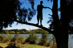 tree climber